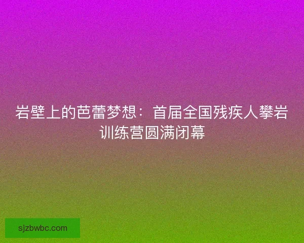 岩壁上的芭蕾梦想:首届全国残疾人攀岩训练营圆满闭幕 岩壁上的芭蕾梦想:首届全国残疾人攀岩训练营圆满闭幕